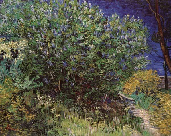 Vincent Van Gogh Bushes oil painting picture